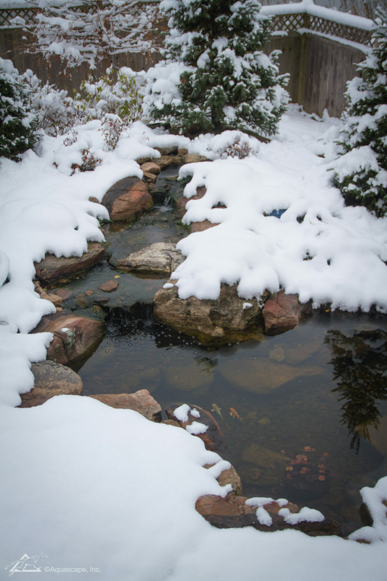 Winter Pond Care River Rock Water Gardens Koi Pond Construction